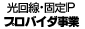 固定IP IP Provider