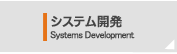 システム開発