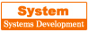 システム開発
